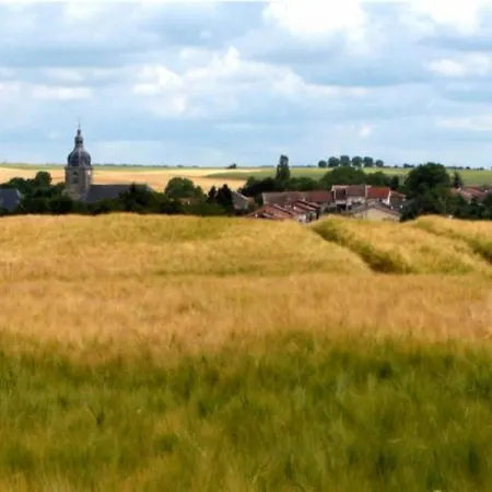 別荘 Charmant Plain-pied Renove Avec Jardin Clos Et Cheminee, Au Coeur De Rarecourt, Proche Sites Historiques - Fr-1-585-79 *