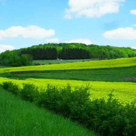 別荘 Charmant Plain-pied Renove Avec Jardin Clos Et Cheminee, Au Coeur De Rarecourt, Proche Sites Historiques - Fr-1-585-79 Rarécourt