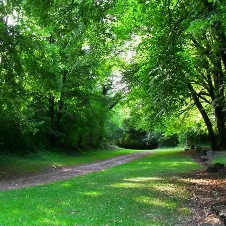 Charmant Plain-pied Renove Avec Jardin Clos Et Cheminee, Au Coeur De Rarecourt, Proche Sites Historiques - Fr-1-585-79 Rarécourt